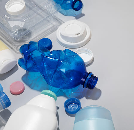 Microplastic ingestion