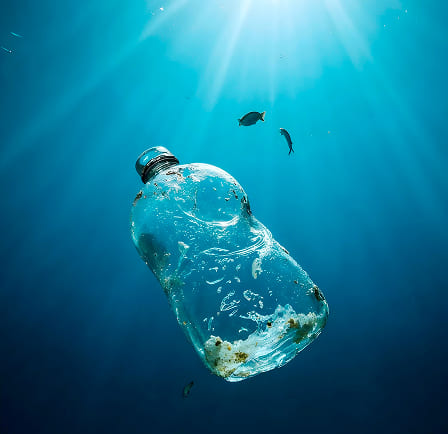 Plastic pollution